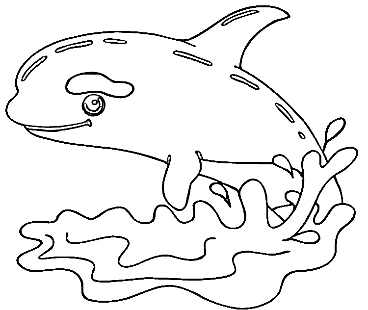 Animals Coloring Pages Photos Animals Coloring Pages Photos
