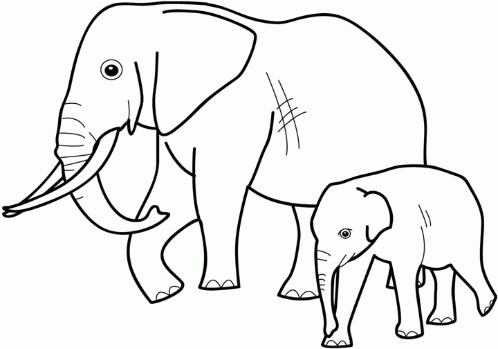 African Animals Coloring Pages