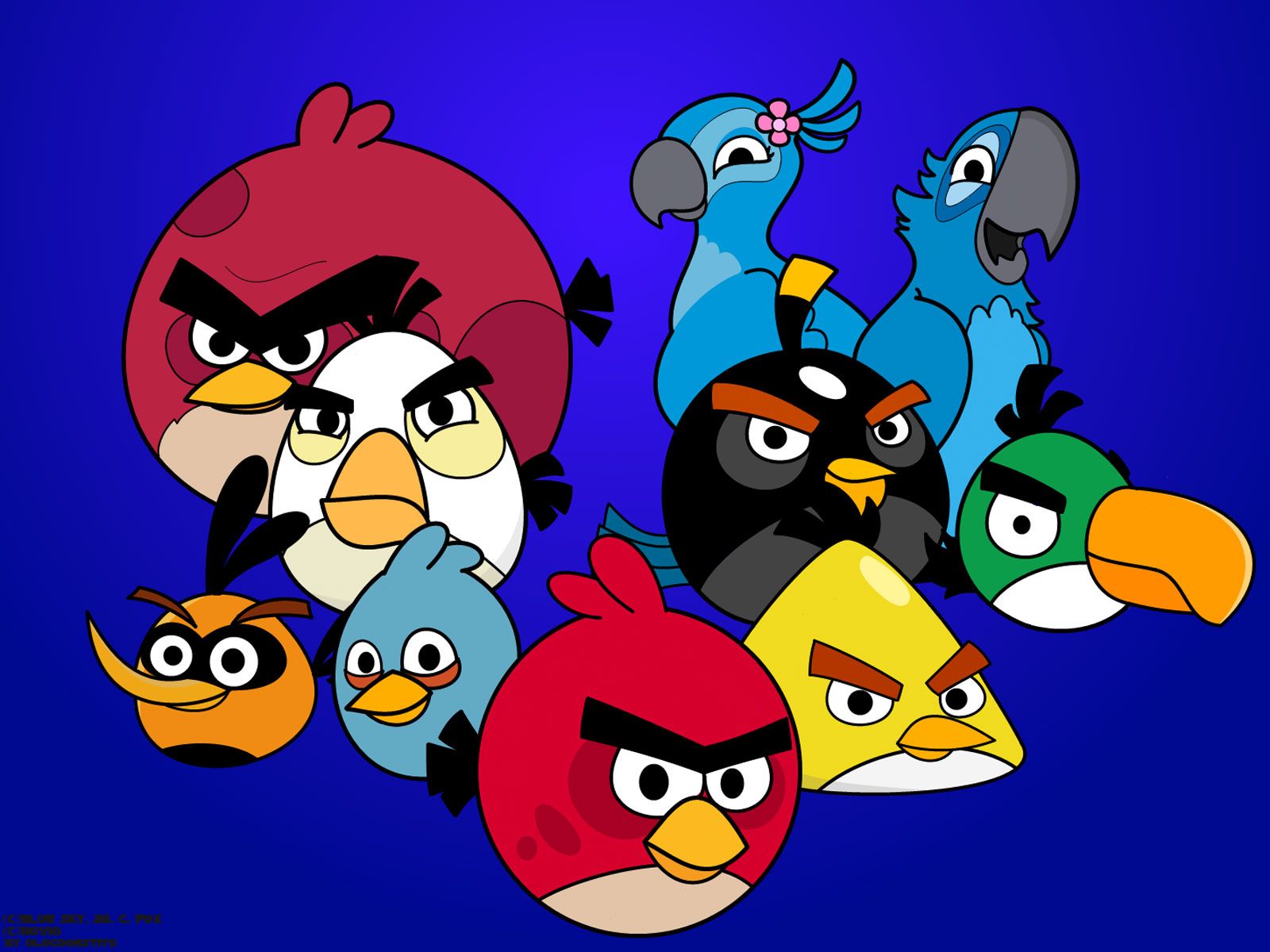 Angry Birds HQ wallpapers Coloring Pages Wallpapers Angry Birds HQ wallpapers Coloring Pages Wallpapers